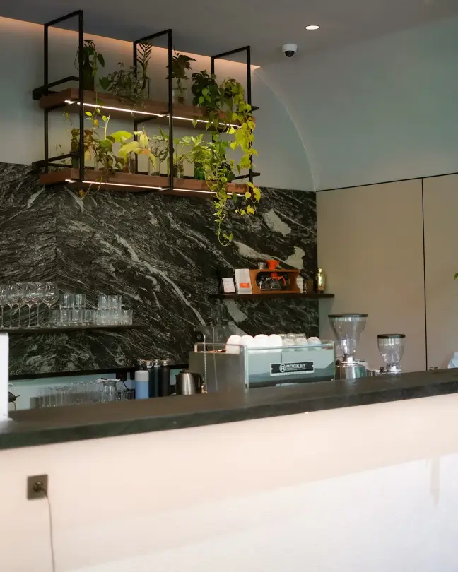 Marble coffee bar with hanging plants